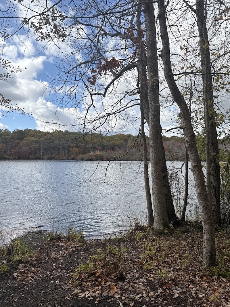 Southaven County Park Campground photo 4