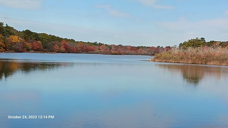 Southaven County Park photo 3