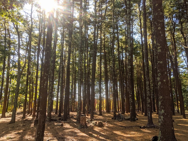 Southaven County Park photo 4