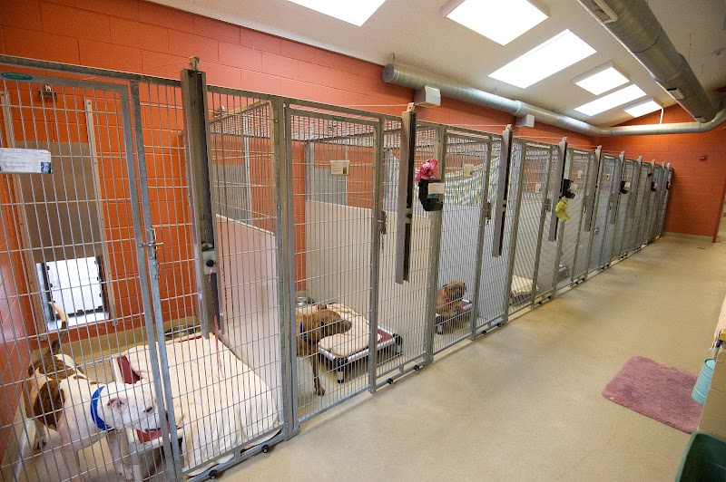 Southold Animal Shelter photo 4