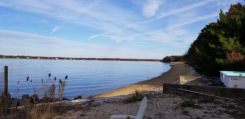 Southold Bay Oysters photo 2