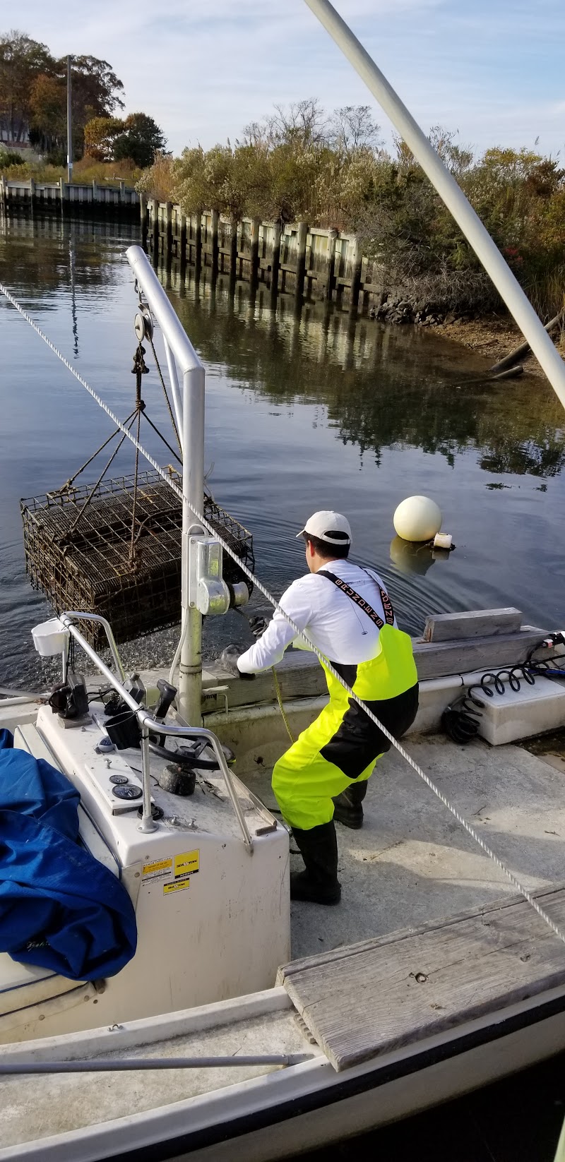 Southold Bay Oysters photo 5
