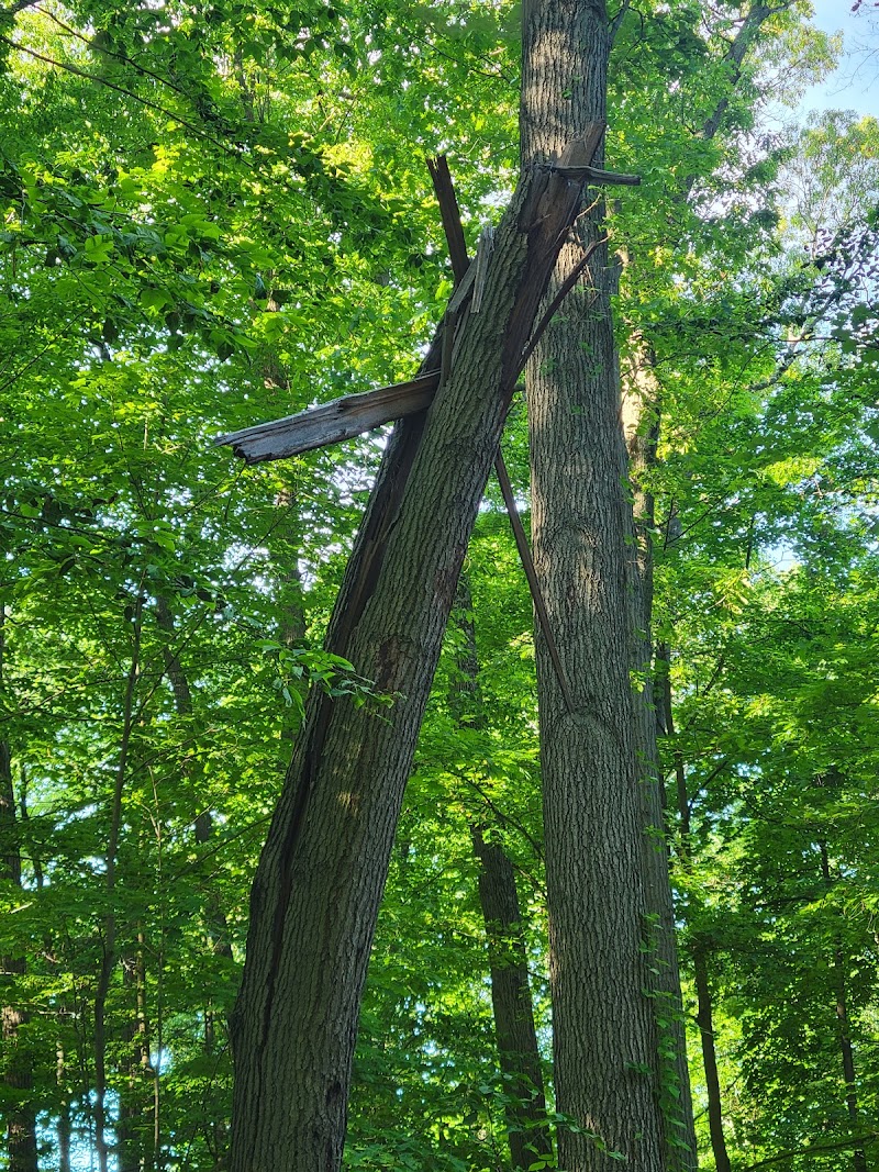 Southport Park photo 5