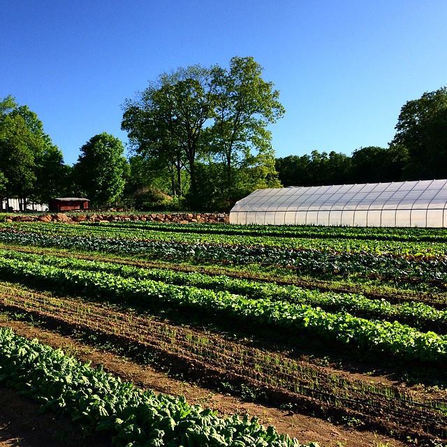 Sport Hill Farm