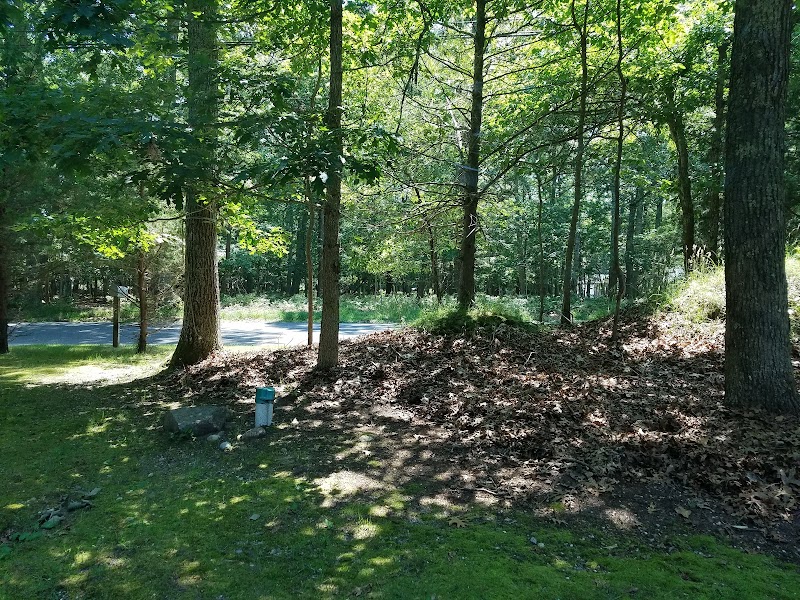 Springs Park Dog Park photo 3
