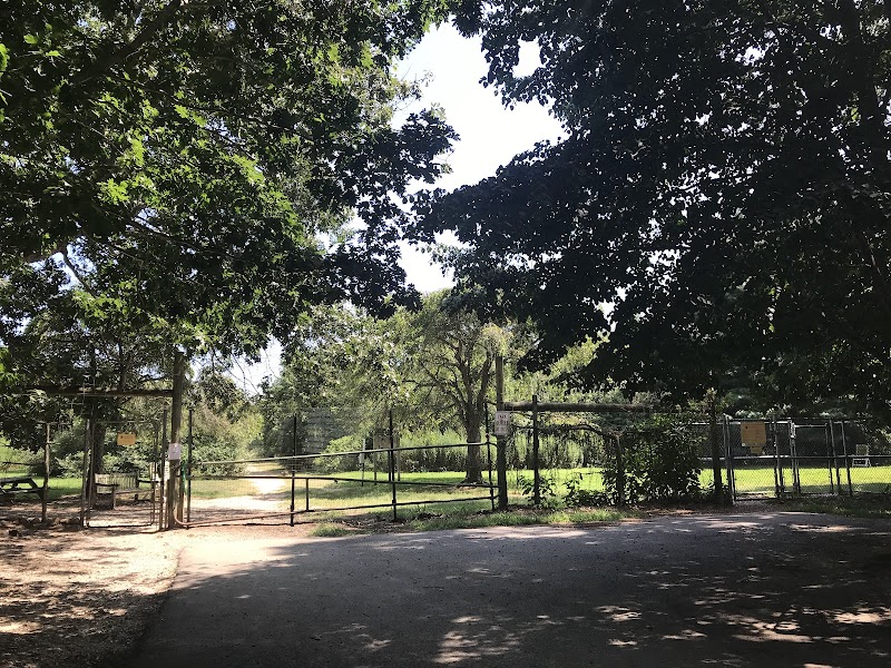 Springs Park Dog Park photo 4