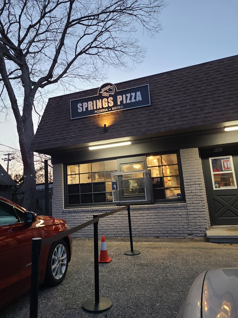 Springs Pizza photo 1
