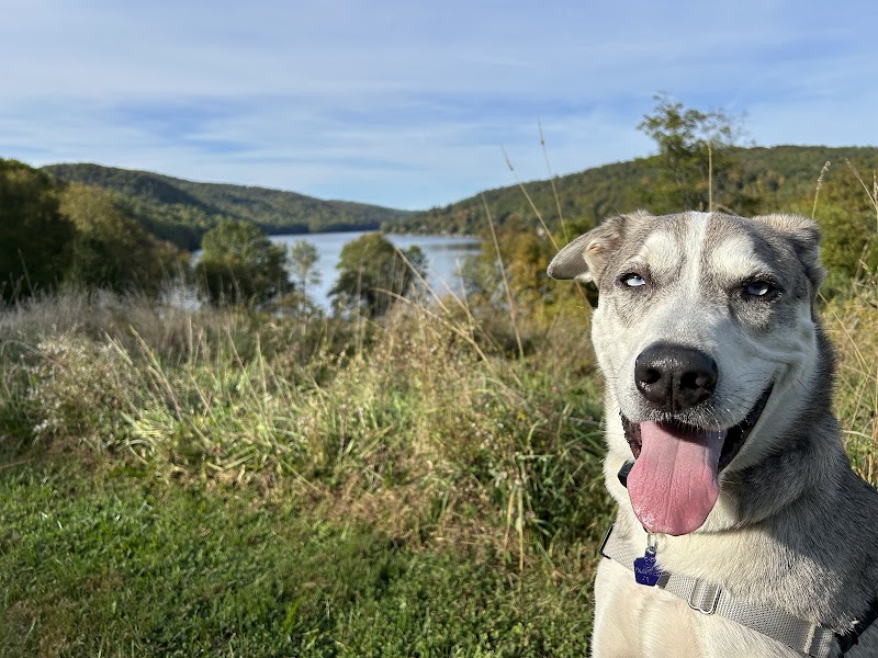 Squantz Pond State Park photo 5