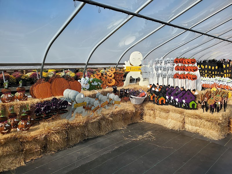 Stakey's Pumpkin Farm photo 2