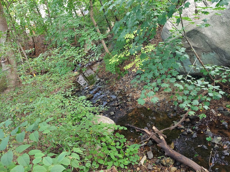Stannards Brook County Park photo 4