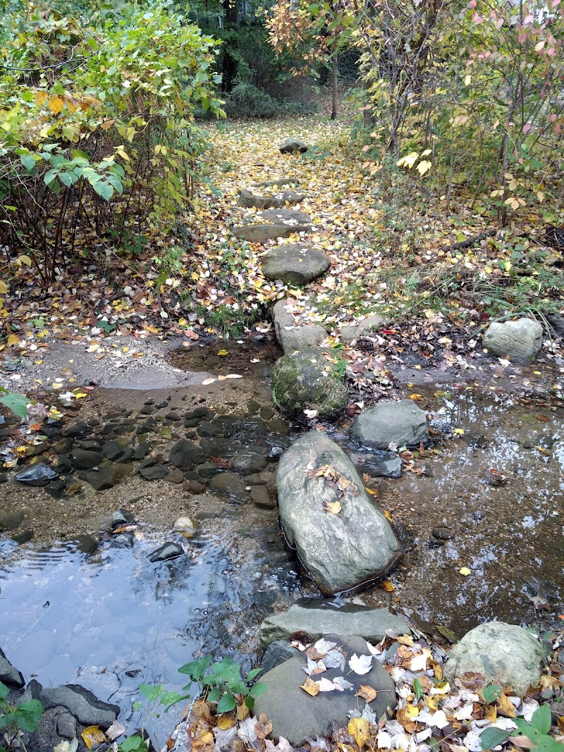Stannards Brook County Park photo 5