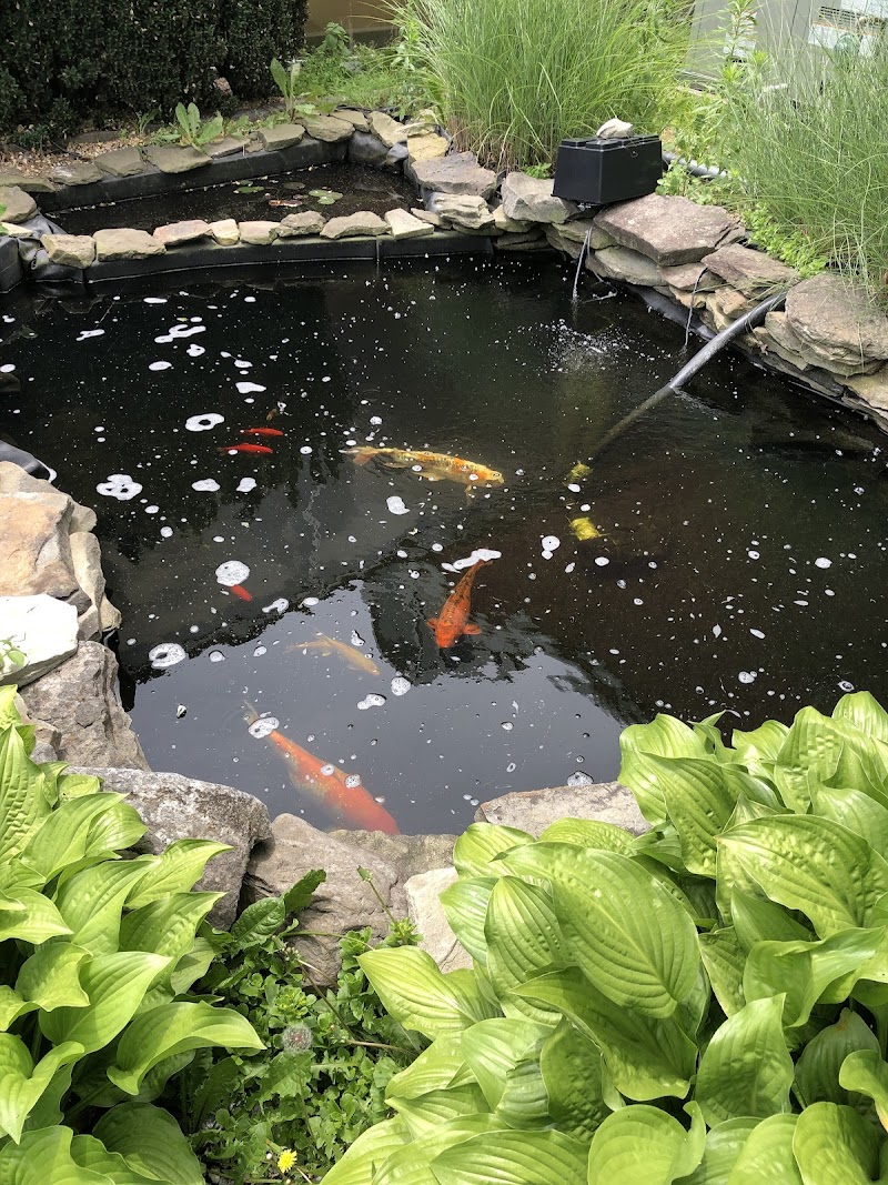 Starkie Bros Garden Center photo 4
