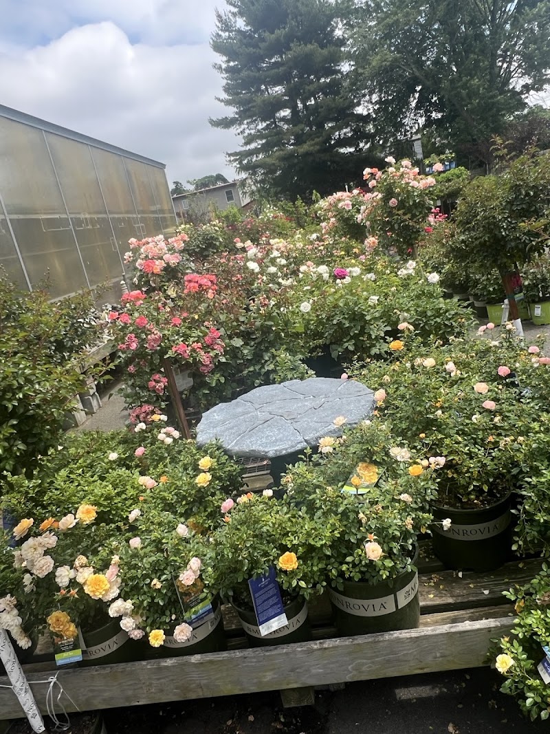 Starkie Bros Garden Center photo 5