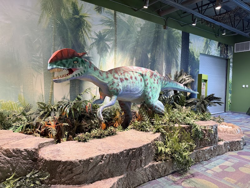Stepping Stones Museum for Children photo 4