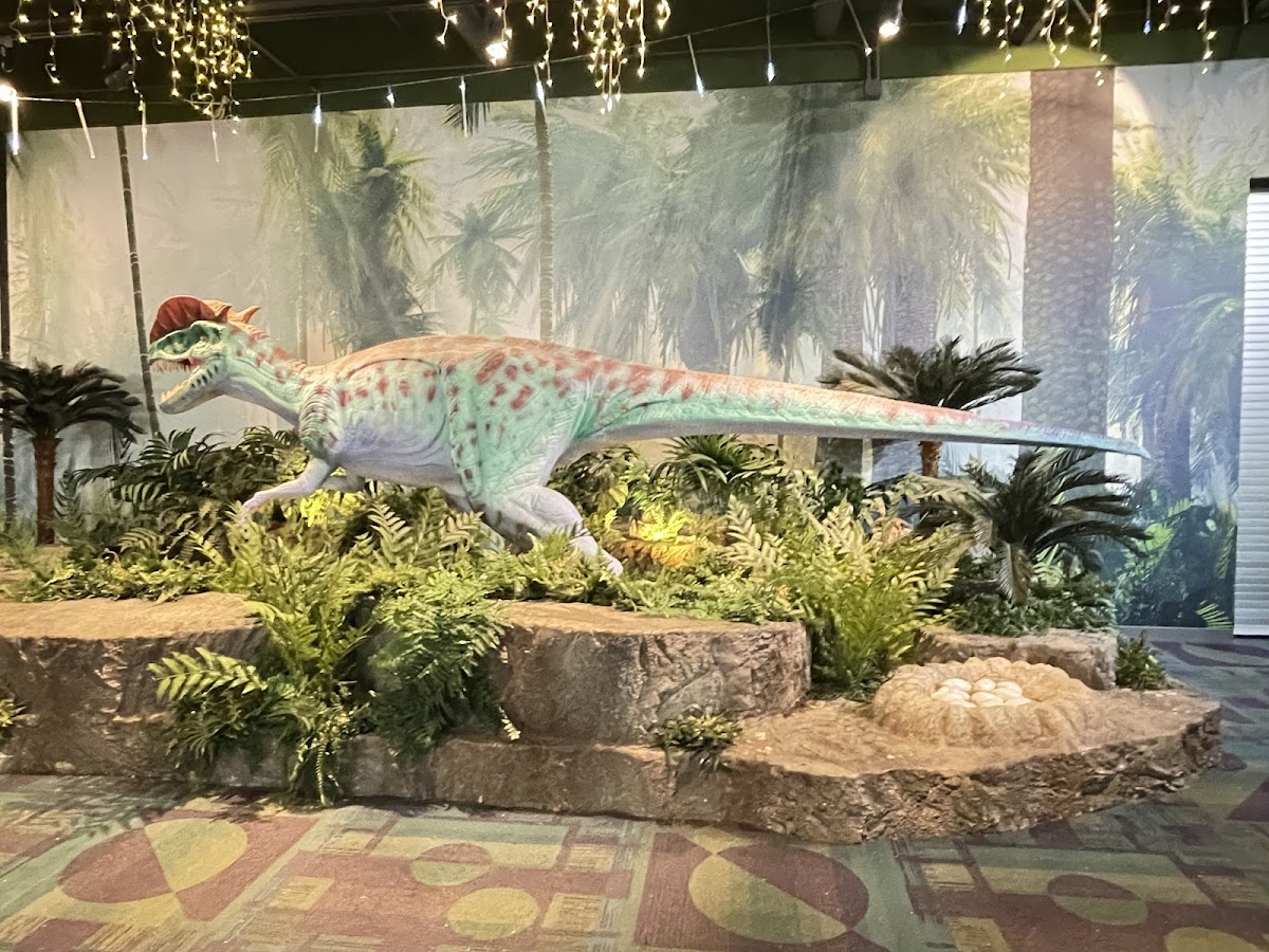 Stepping Stones Museum for Children photo 4