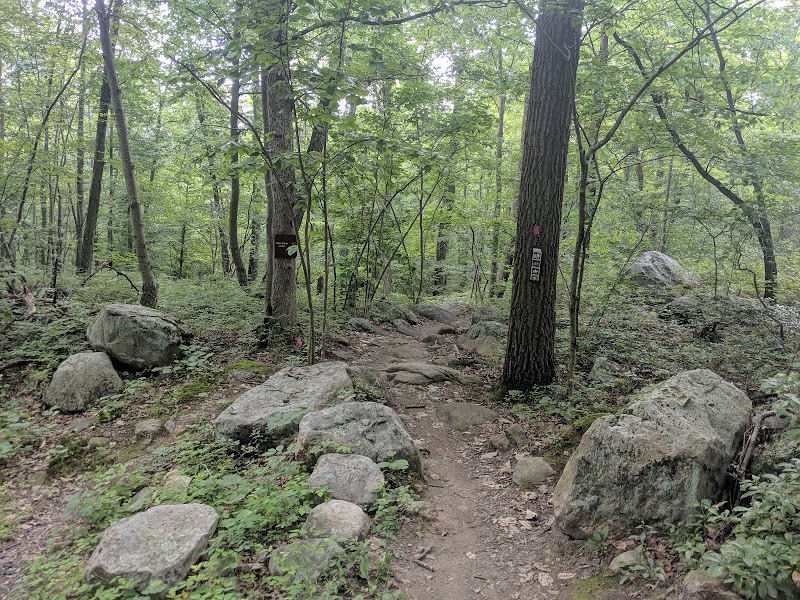 Sterling Forest State Park photo 4