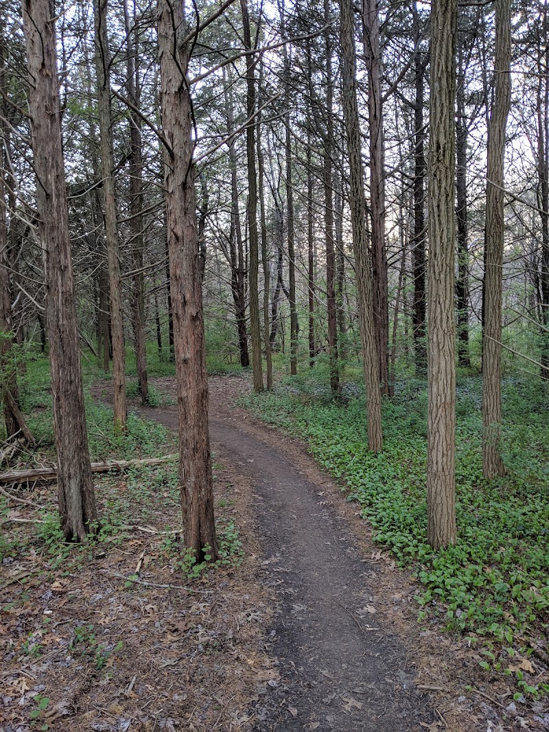 Stillwell Woods Park photo 3
