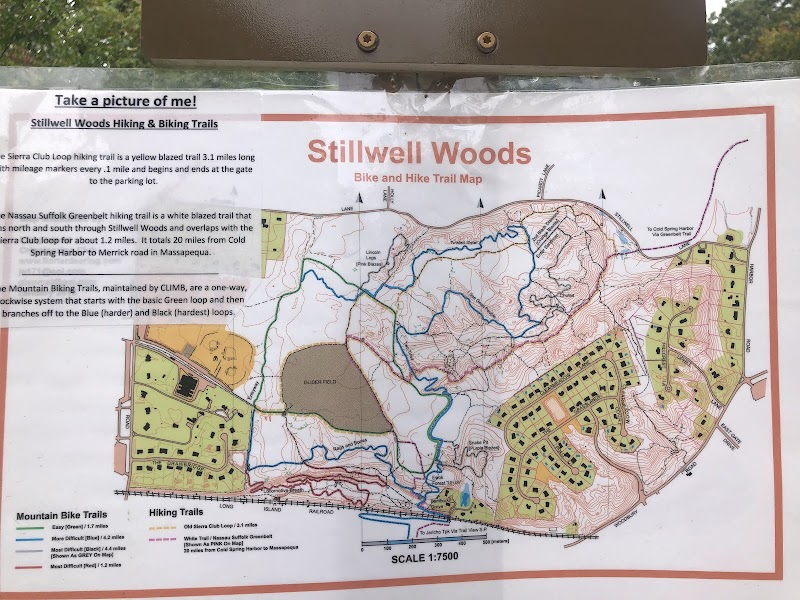 Stillwell Woods Park photo 4