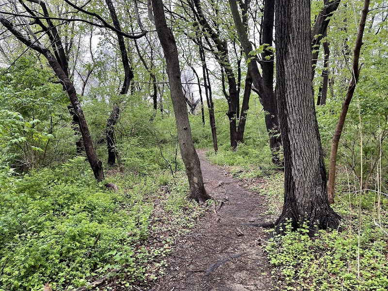 Stillwell Woods Park photo 5