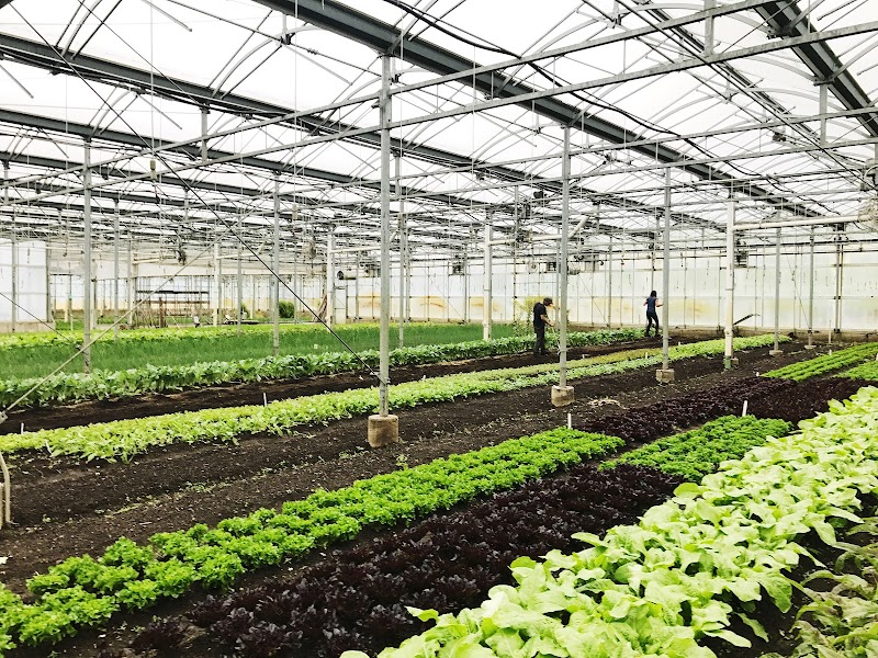 Stone Barns Center for Food & Agriculture photo 2