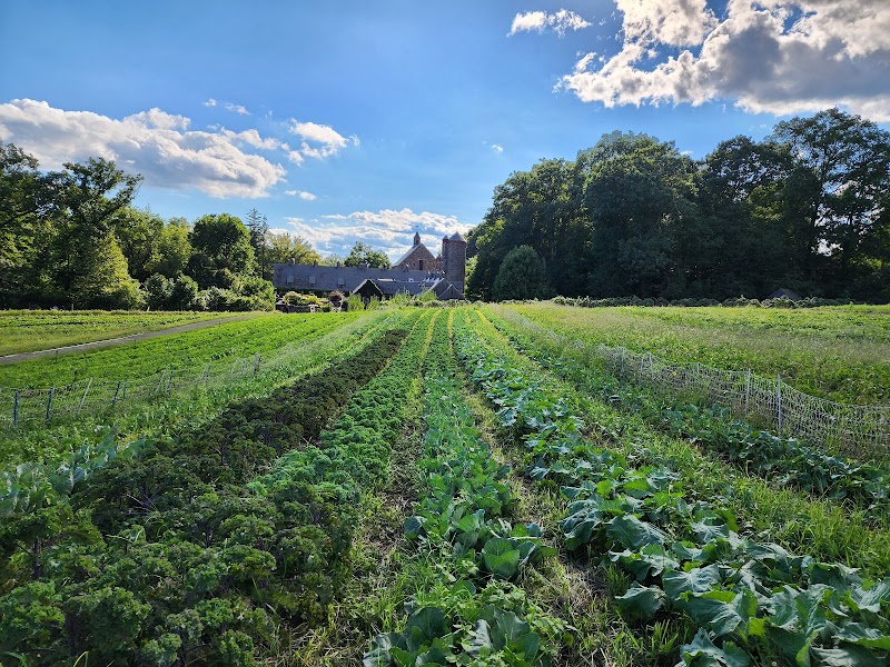 Stone Barns Center for Food & Agriculture photo 4