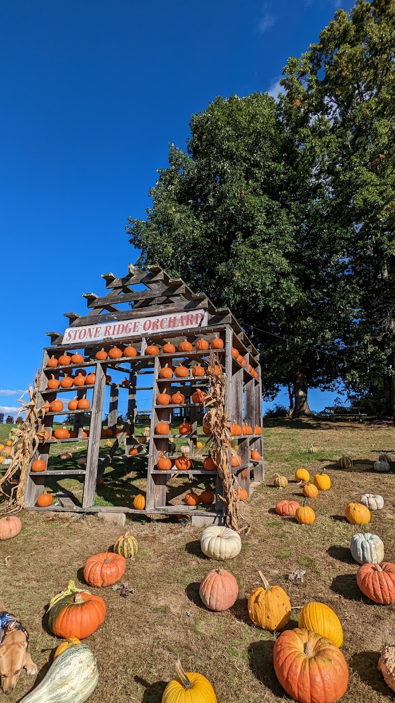 Stone Ridge Orchard photo 3