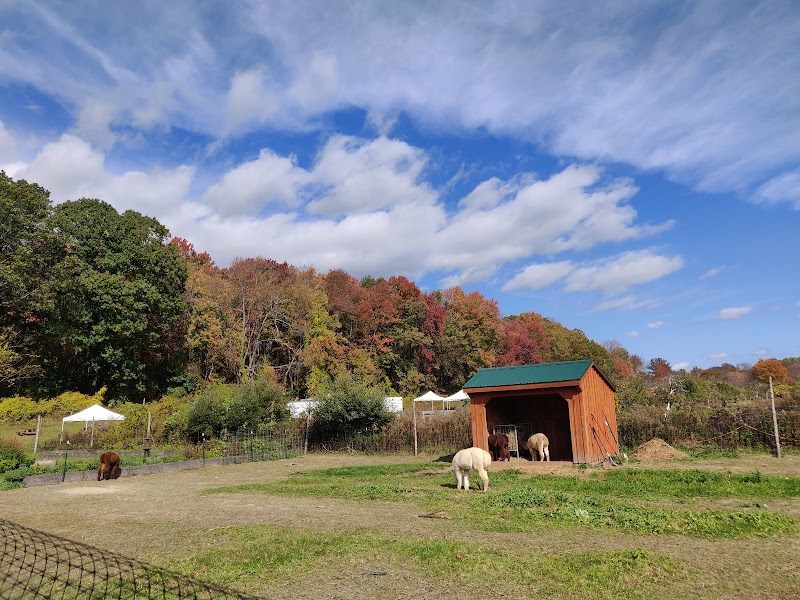 Stone Ridge Orchard photo 4
