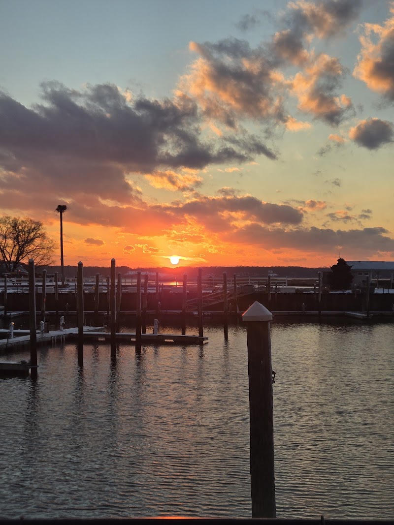 Stony Brook Harbor Kayak & Paddleboard Rentals photo 2