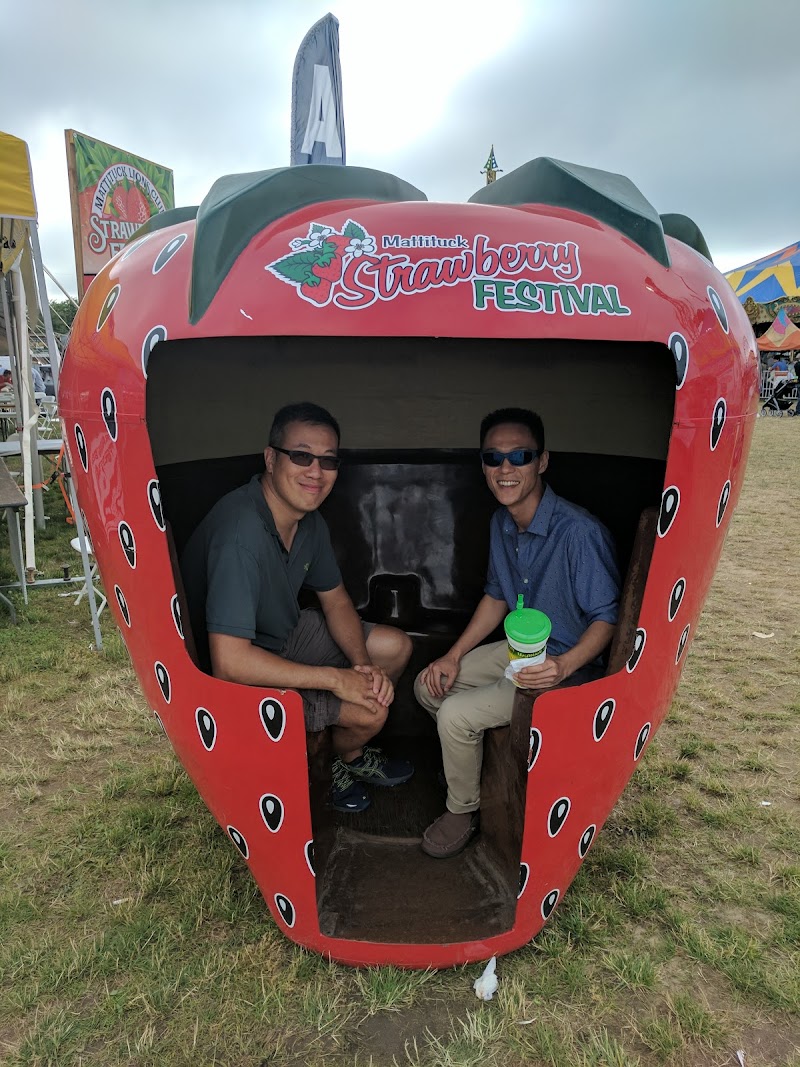 Strawberry Fields photo 4