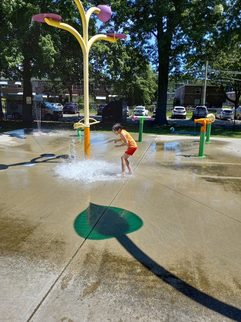 Success Park photo 2