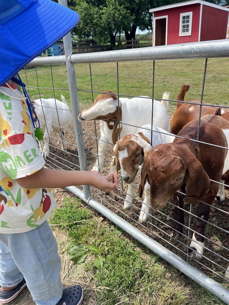 Suffolk County Farm and Education Center photo 3