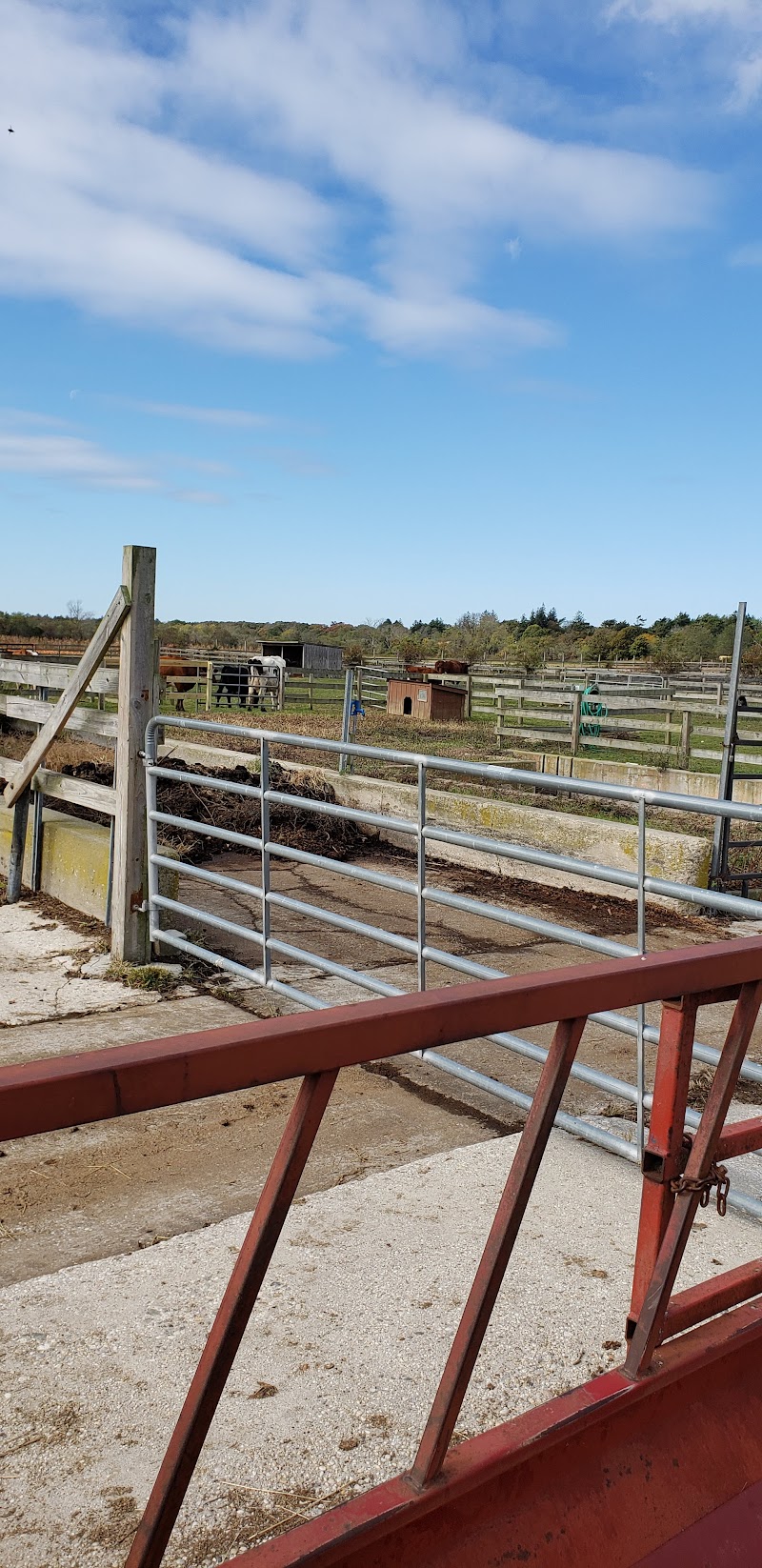 Suffolk County Farm and Education Center photo 5