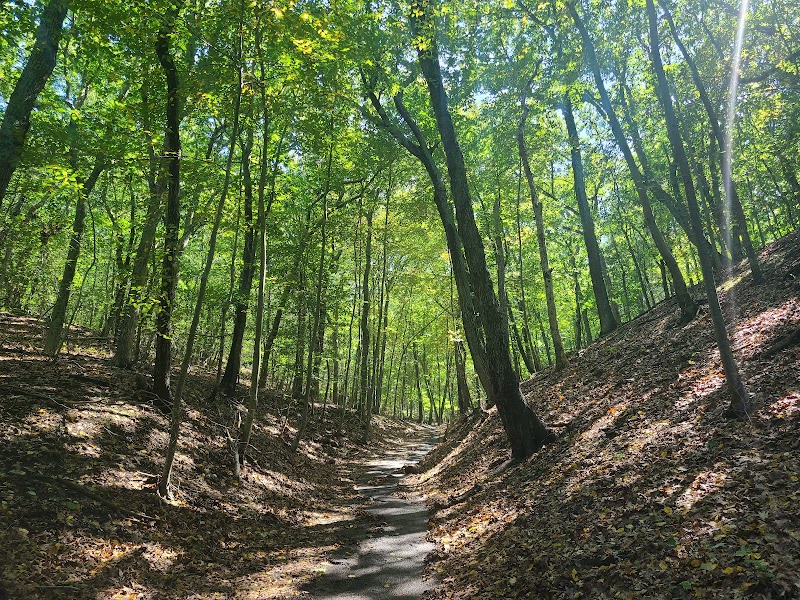 Suffolk County Park Land photo 3