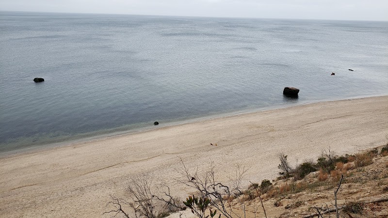 Suffolk County Park Land photo 4