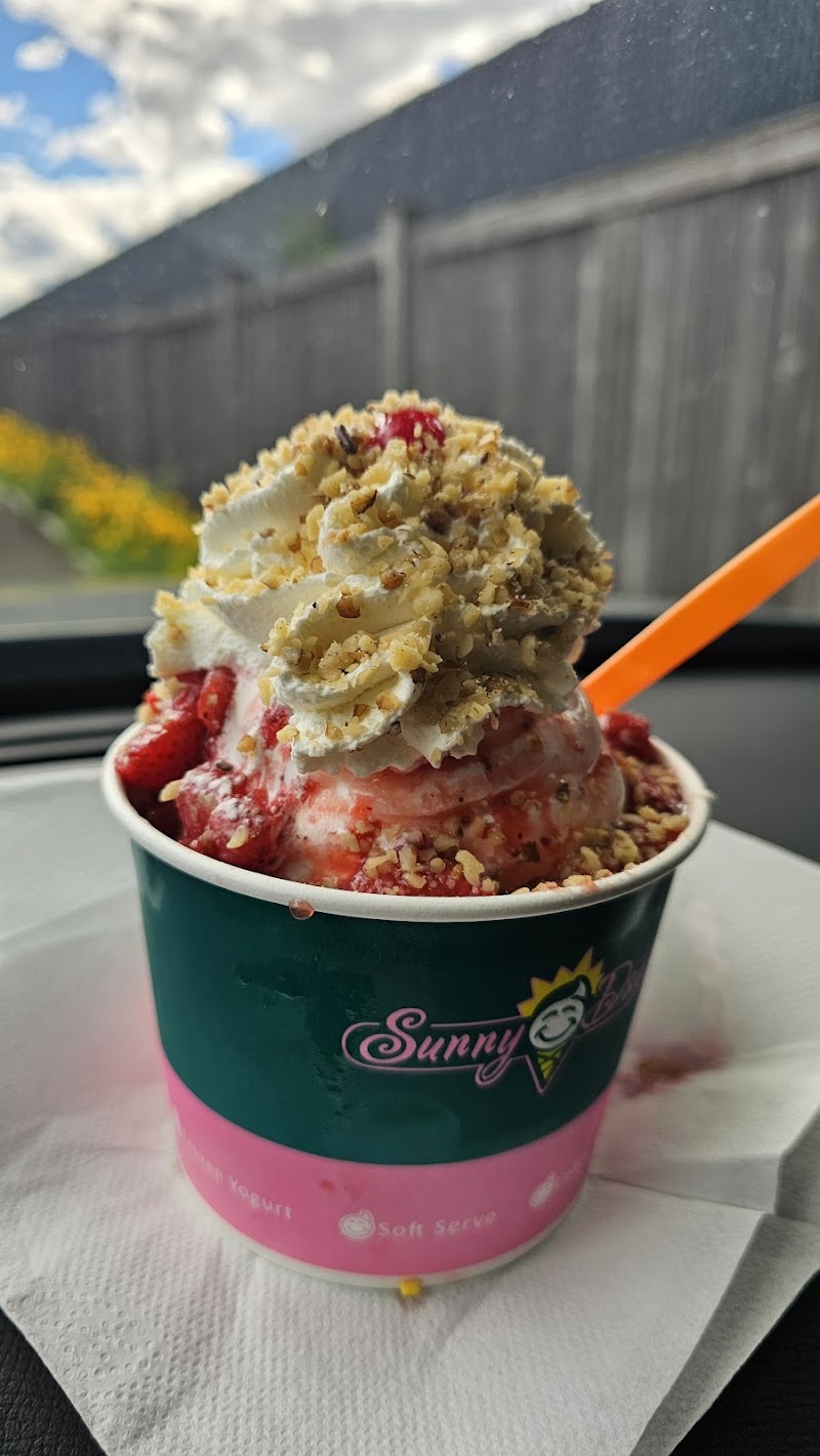 Sunny Daes Ice Cream photo 3