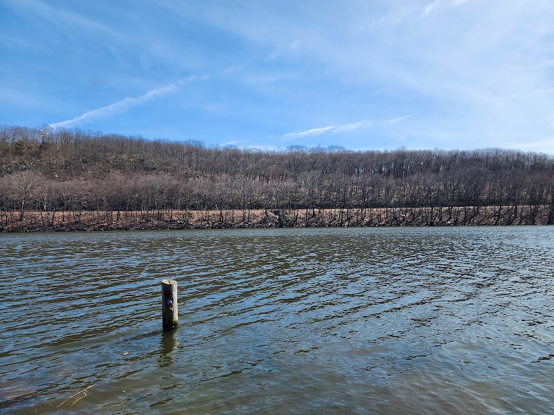 Sunnyside Park photo 3
