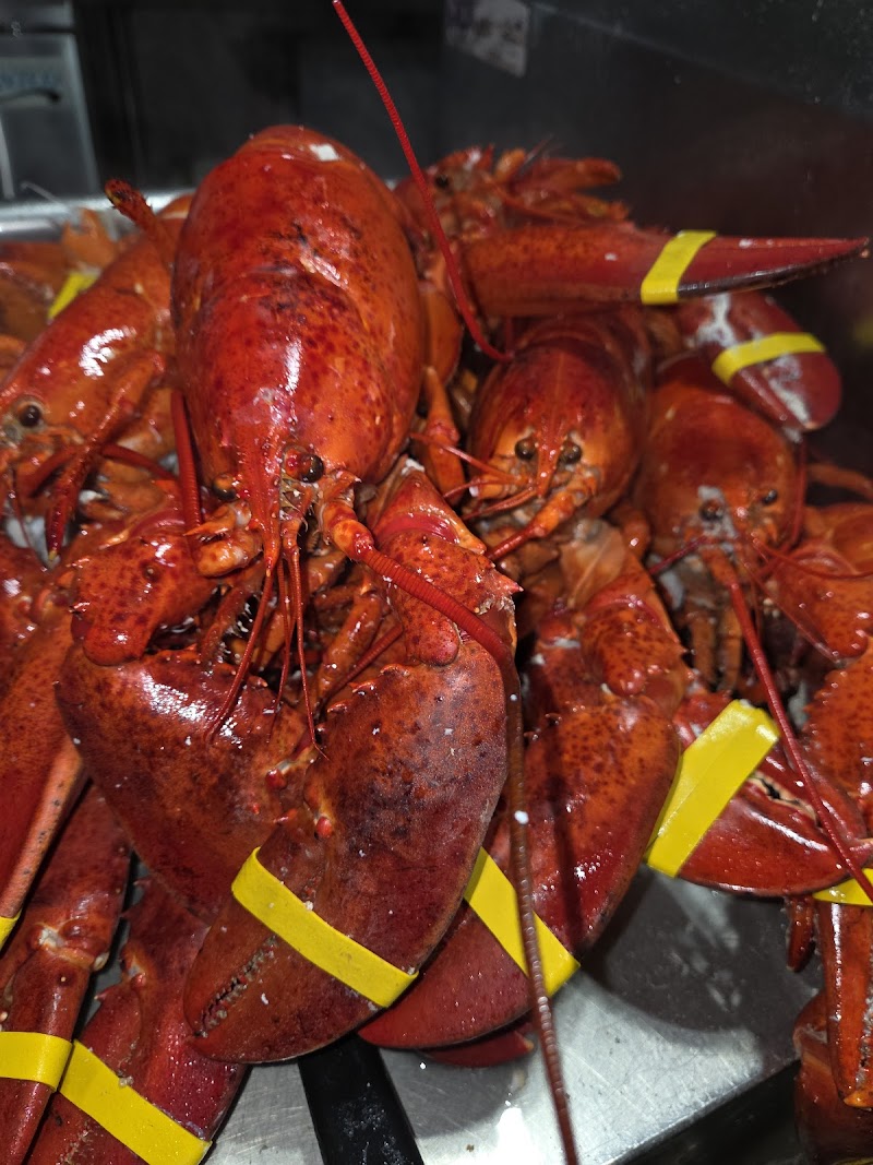 Sunset fish & lobster market & grill photo 2