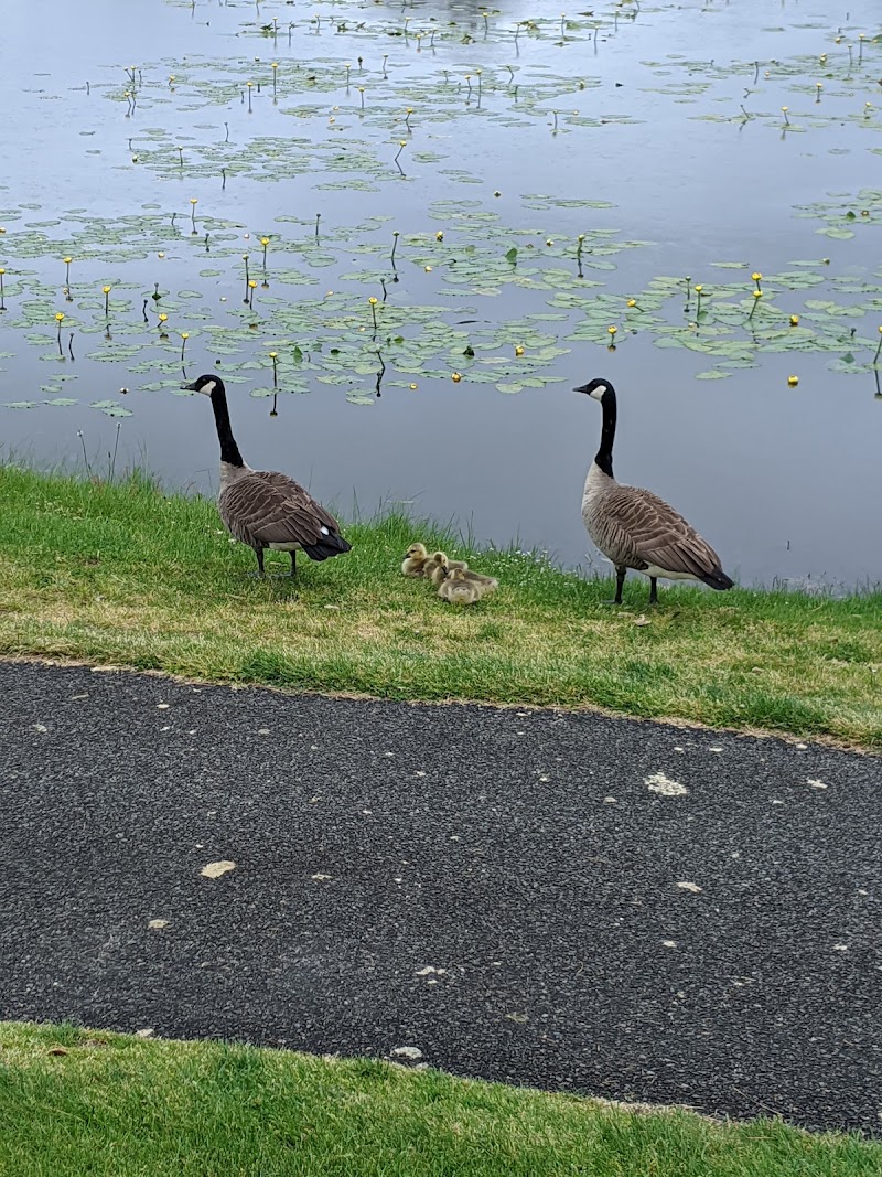 Swan Lake Golf Club photo 5