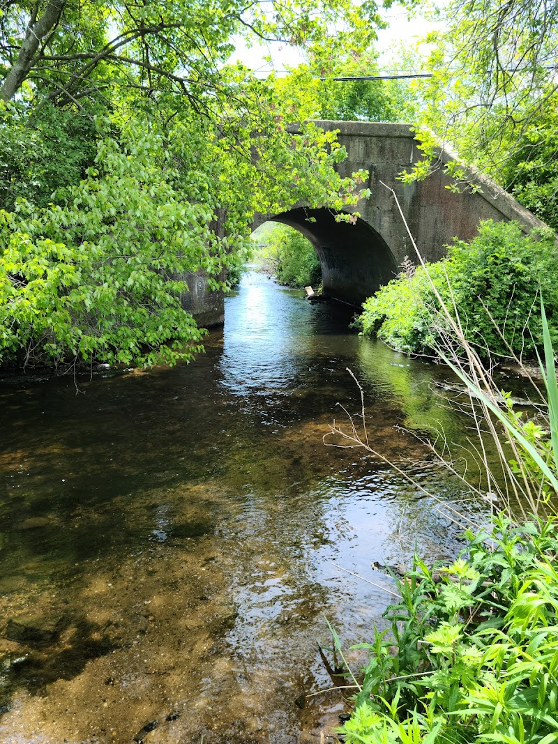 Swan River Preserve photo 2