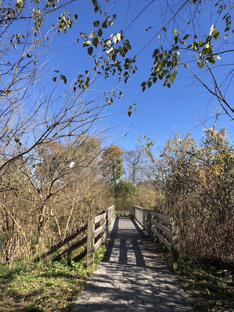 Swan River Preserve photo 3