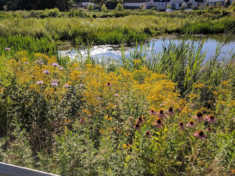 Swan River Preserve photo 4