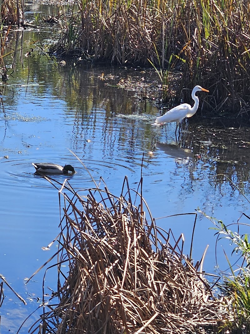 Swan River Preserve photo 5