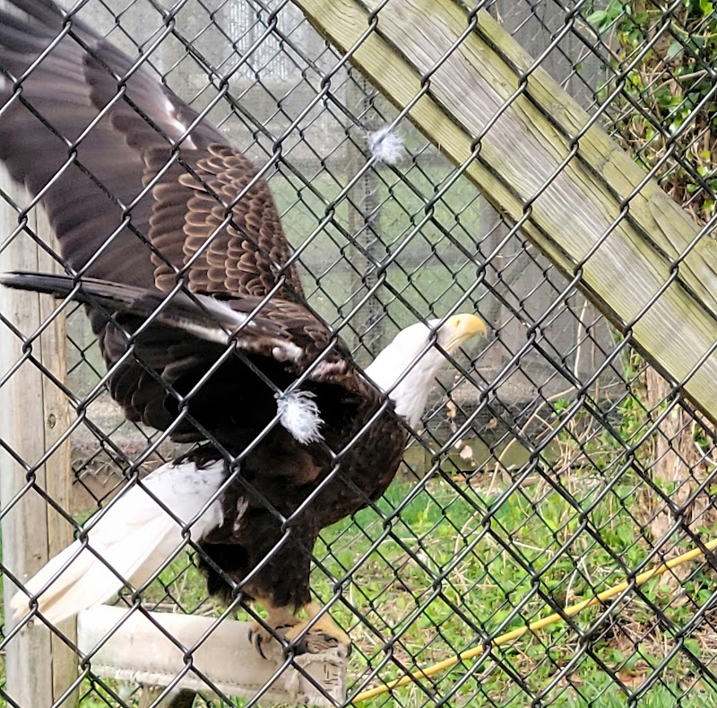 Sweetbriar Nature Center photo 4