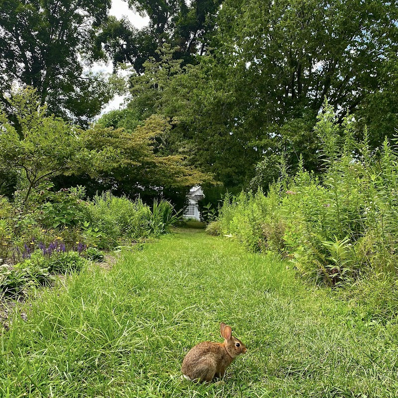Sweetbriar Nature Center photo 5