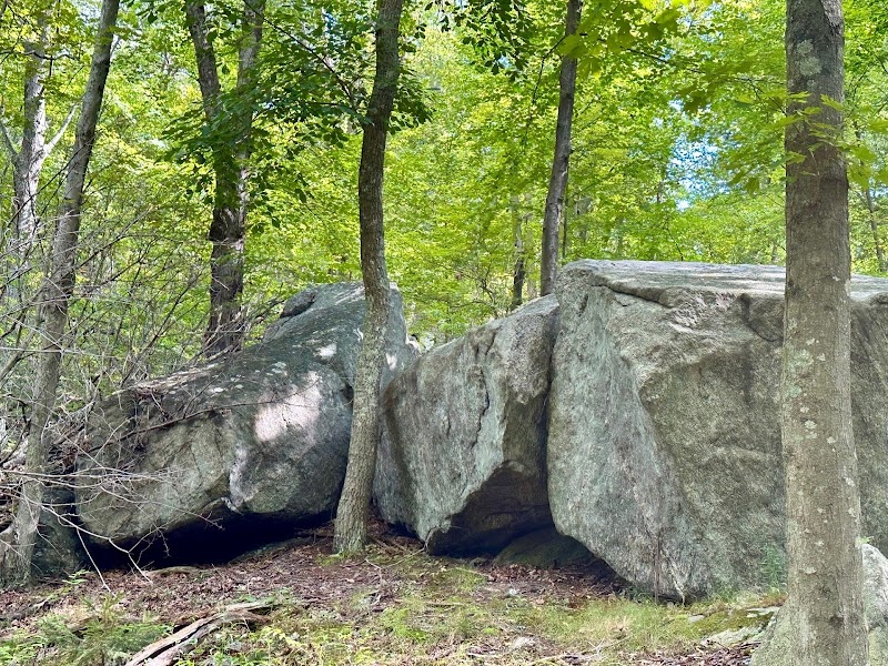 Sweetcake Mountain Lake Reserve photo 4