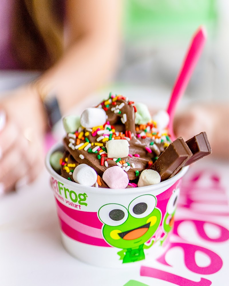 sweetFrog photo 3
