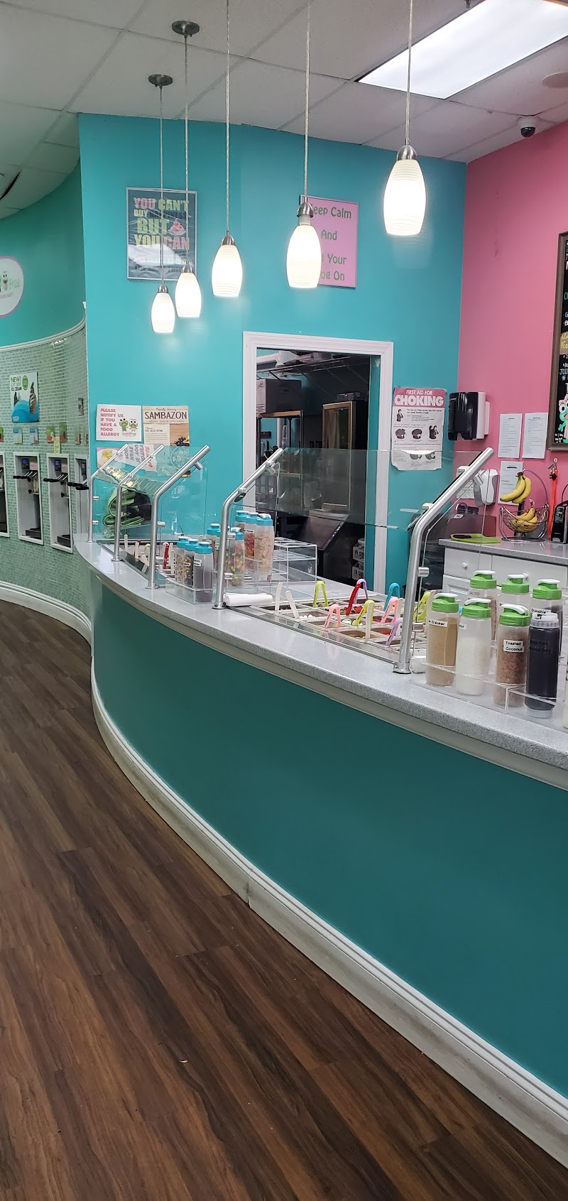 sweetFrog photo 4