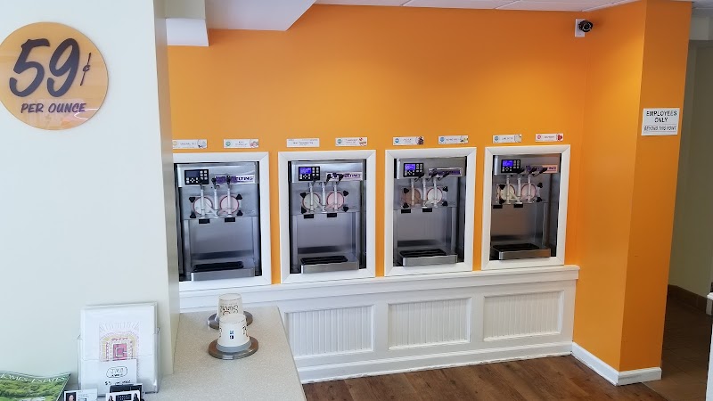 Swirl Frozen Yogurt photo 5