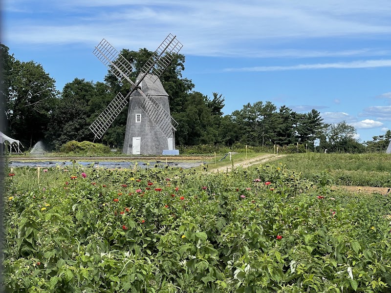 Sylvester Manor Educational Farm photo 2