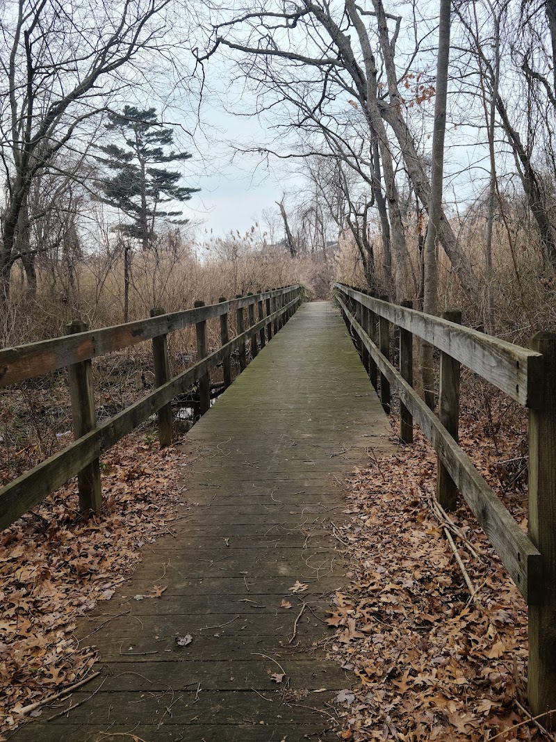 Tackapausha Nature Preserve photo 2